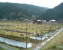 販売シ−ズン(11/15)がやってきました。